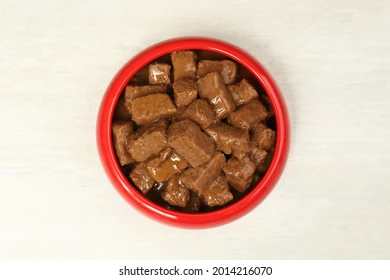 Wet food for pets