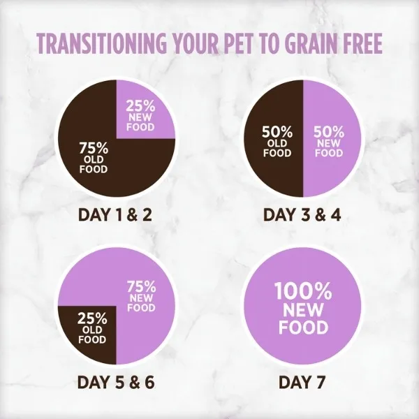 Tips for Transitioning to Grain-Free Dog Food