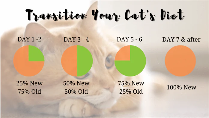 Raw cat food