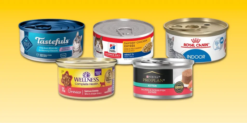 Catt Food in Cans