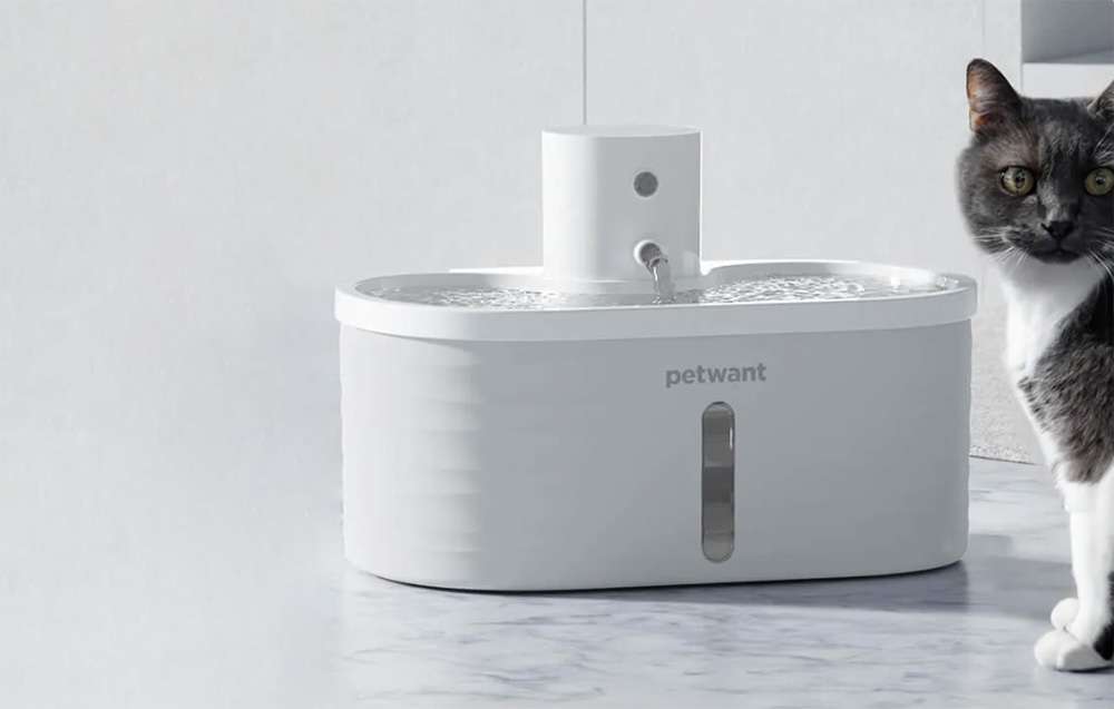 Cat Water Fountains in 2025
