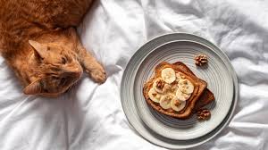 Can Cats Eat Peanut Butter