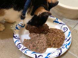 Fancy Feast cat food