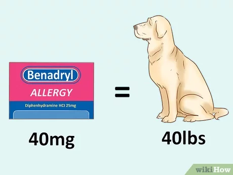 how much benadryl can i give my dog