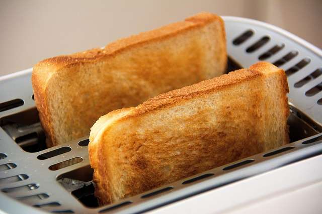 Can cats eat bread