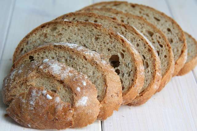 Can cats eat bread