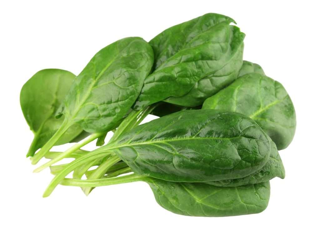 Can dogs eat spinach