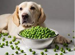 Can dogs eat peas