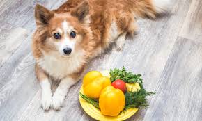 Can Dogs Eat Bell Peppers