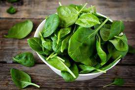 Can dogs eat spinach