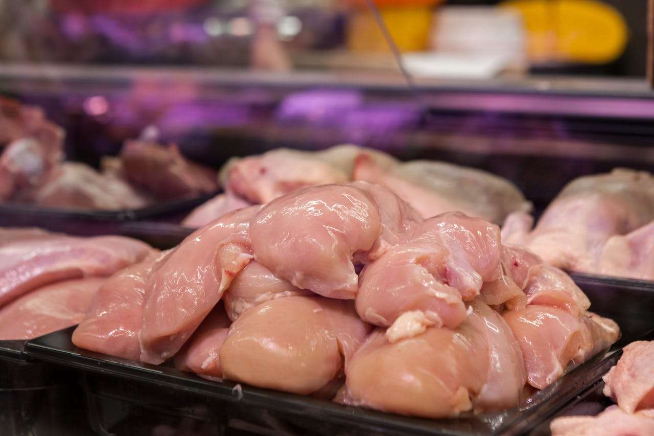 Can cats eat raw chicken